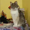 Отзыв от Анна Горшкова